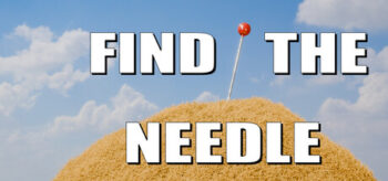 Find the Needle Header Image